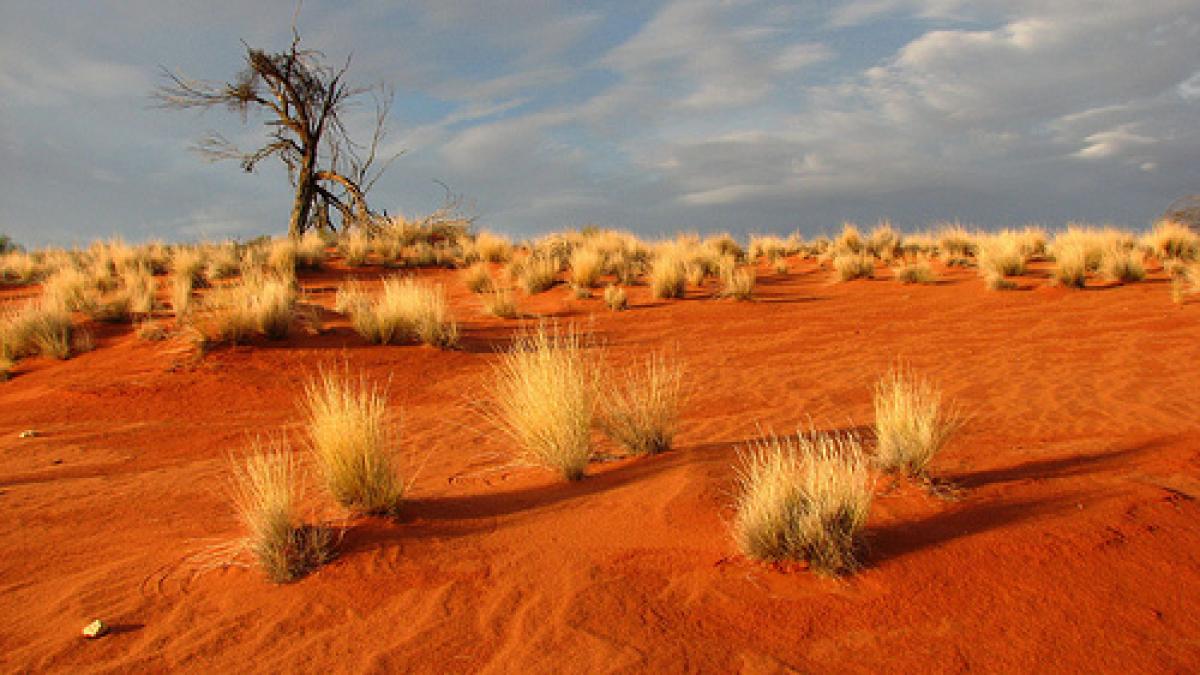 doi australieni au supravietuit patru zile cu nuci si apa de ploaie in desert