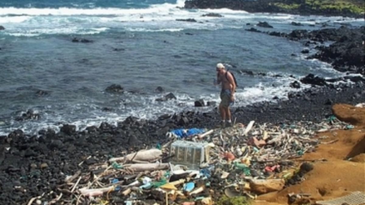 zece lucruri eco pe care le poti face pe plaja