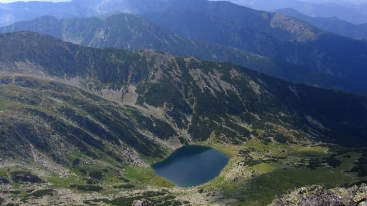 parcul national retezat este distrus de firme private cu contracte de la romsilva