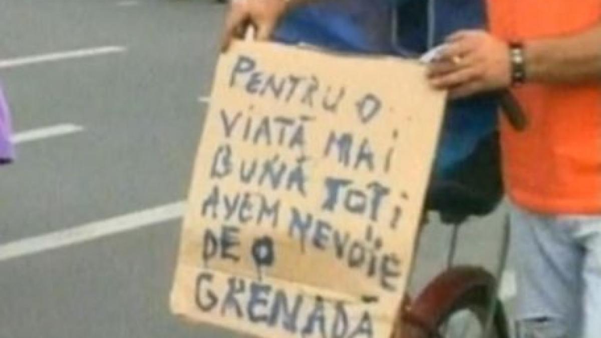 cursa trasnitilor de anul acesta a fost si cea mai originala vezi imagini