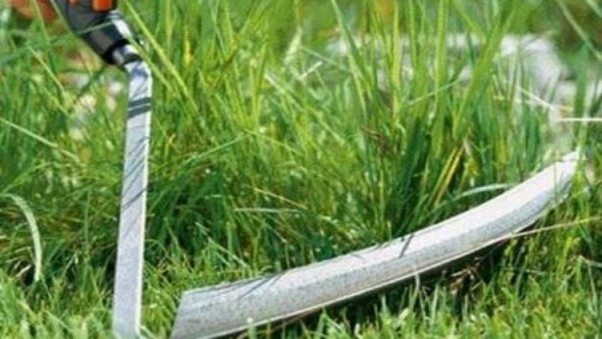 bistrita nasaud un baiat de 10 ani si a omorat sora cu o coasa din greseala