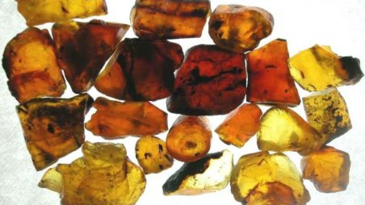 drumul catre muzeul chihlimbarului cu cea mai valoroasa colectie din domeniu plin de gropi