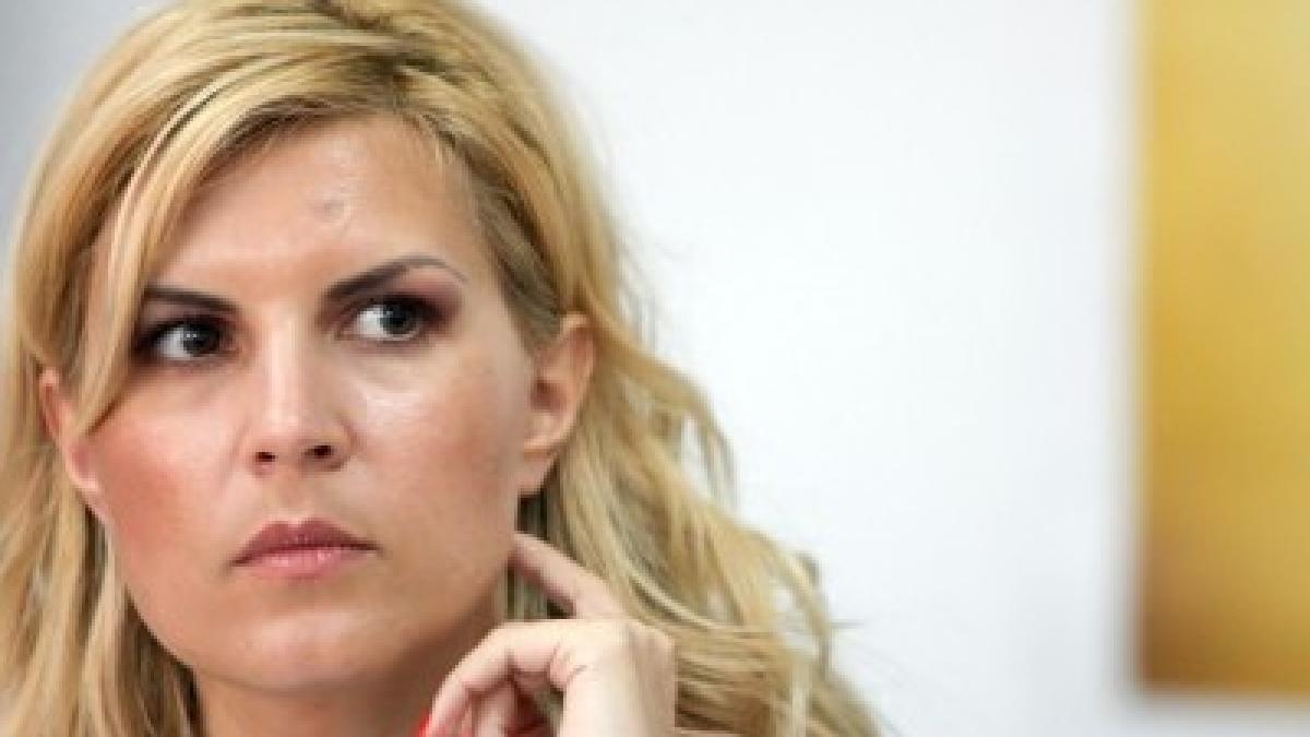 udrea sper ca revenirea economica a romaniei sa reprezinte si revenirea pdl