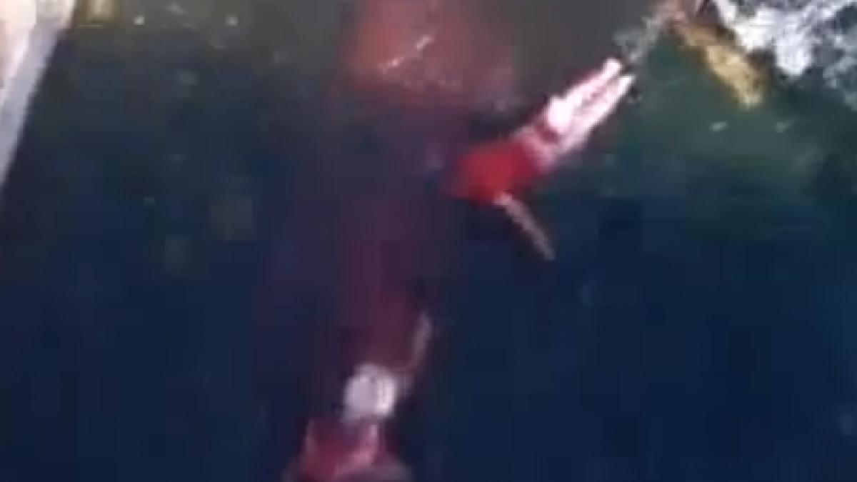 imagini socante din siria mai multe cadavre sunt aruncate de pe un pod langa hama