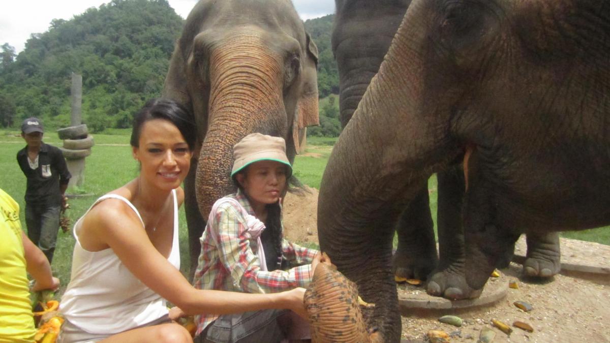andreea raicu a hranit si spalat elefanti in thailanda andreea raicu a hranit si spalat elefanti in thailanda