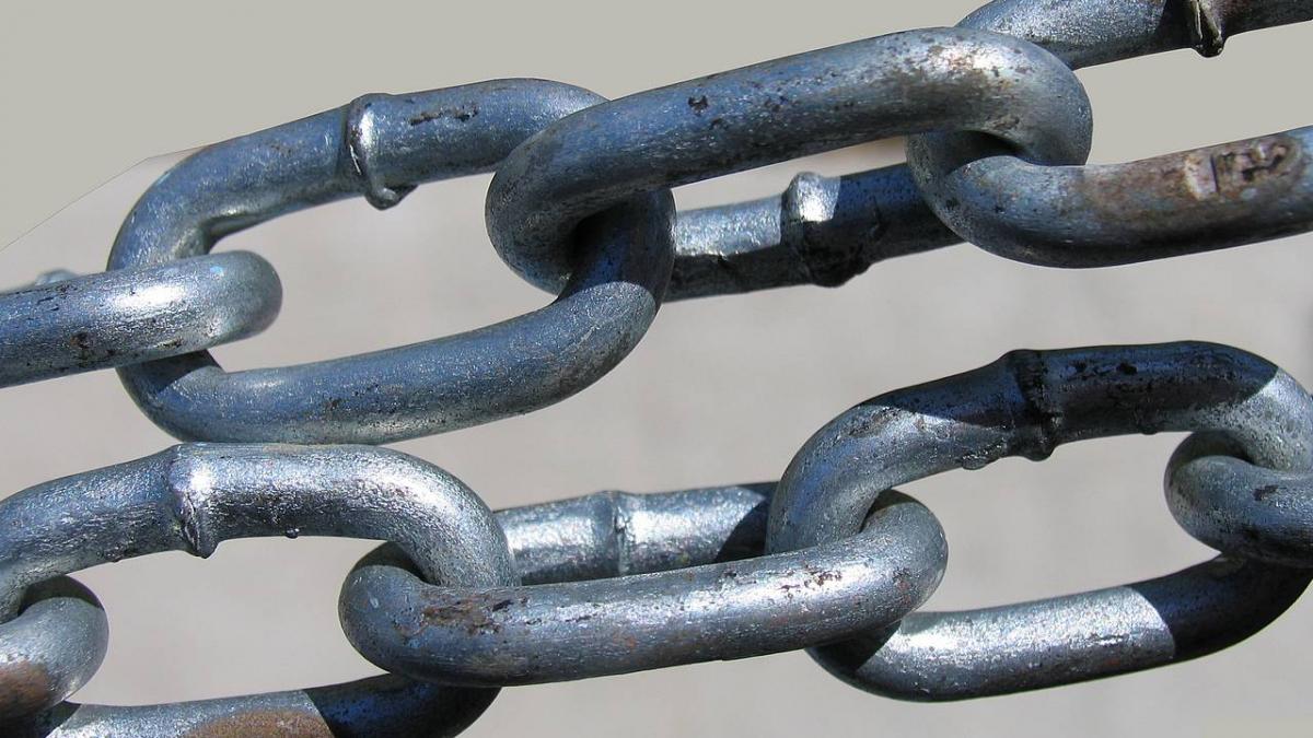 un batran din rusia a fost legat cu lanturi de un copac din curte chiar de propria fiica