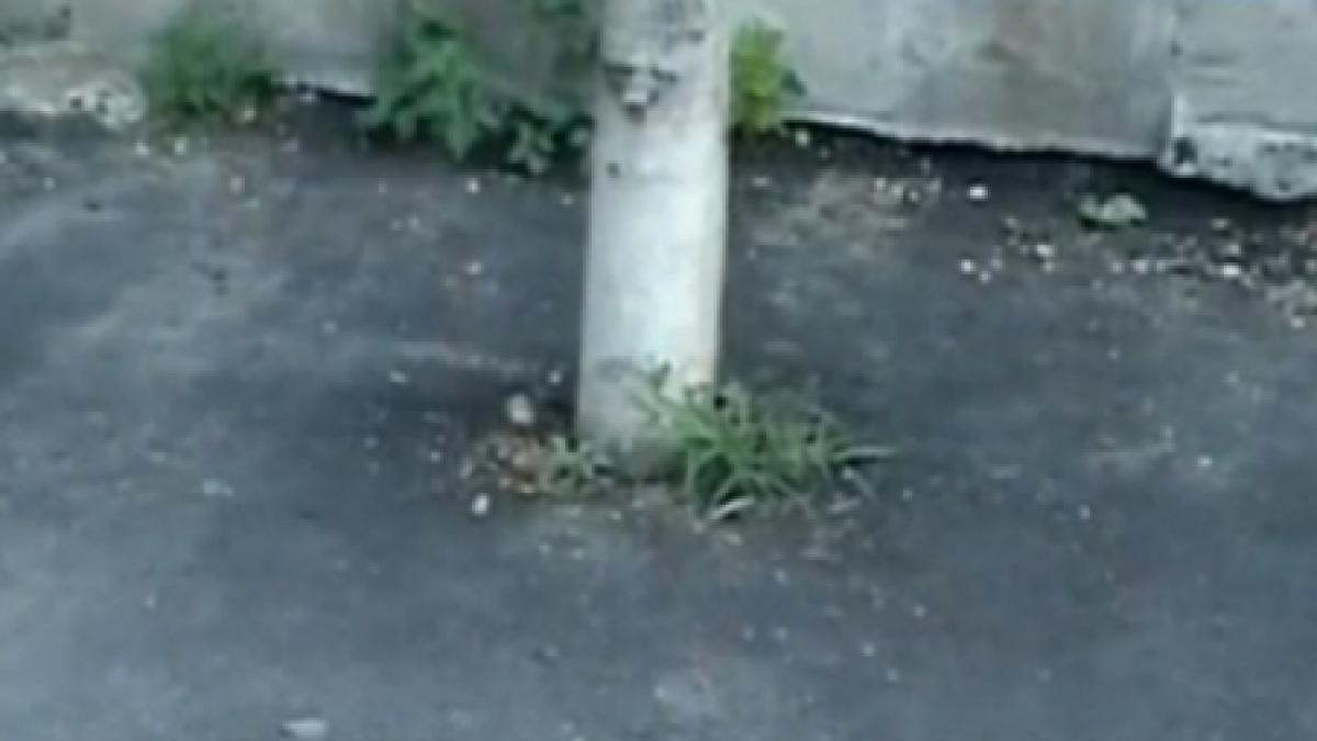 mehedinti copaci asfaltati de jur imprejur si usi de garaje si porti blocate dupa reabilitarea unei