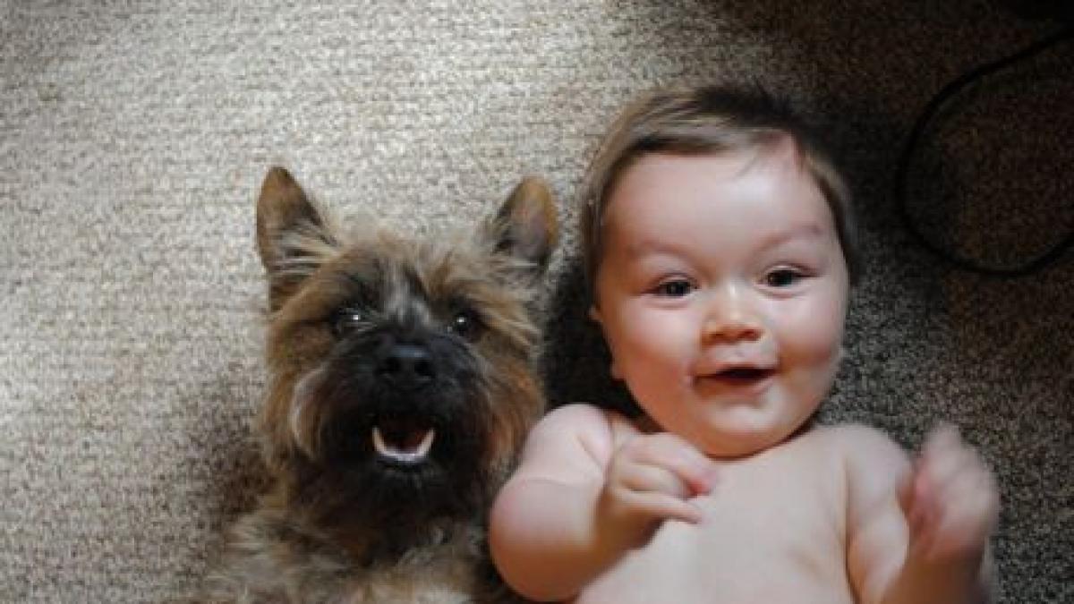 vezi aici cele mai amuzante poze cu animale de saptamana aceasta