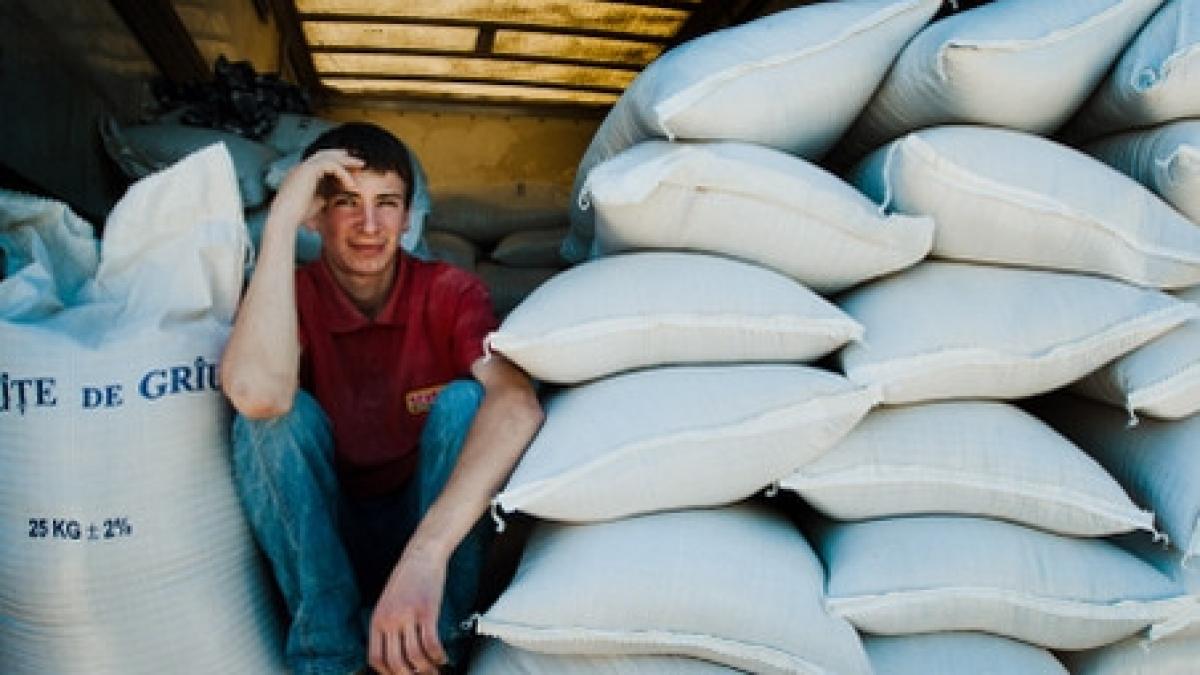 pib ul romaniei ar putea fi salvat productia de grau a atins cea mai mare valoare din ultimii trei