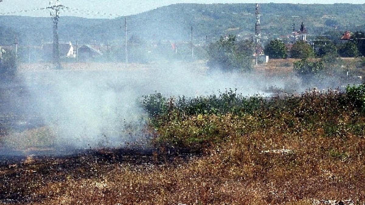 vaslui un incendiu de proportii a distrus peste 90 de hectare de miriste