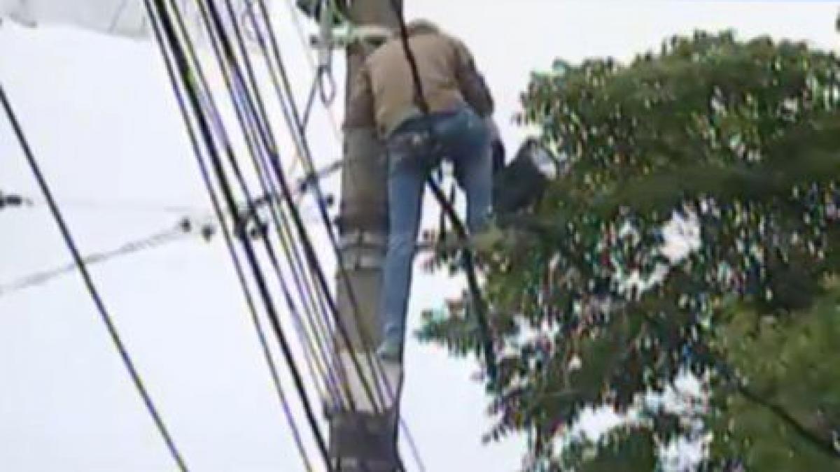 barbatul care protesta pe stalpul de la cotroceni a coborat a fost audiat la sectia 22 din capitala