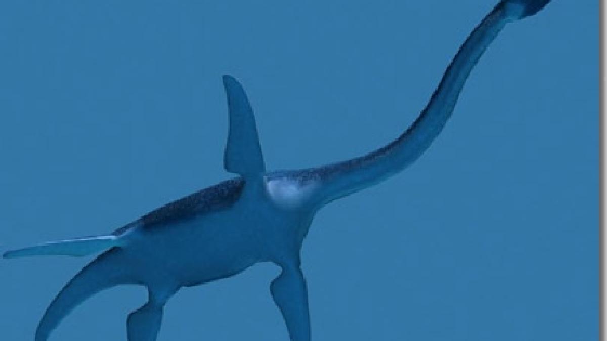 sua reptila veche de 78 de milioane de ani care nastea pui vii expusa la un muzeu din los angeles