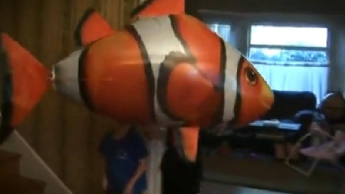 noua inventie in materie de jucarii pestele care inoata prin casa vezi cum arata