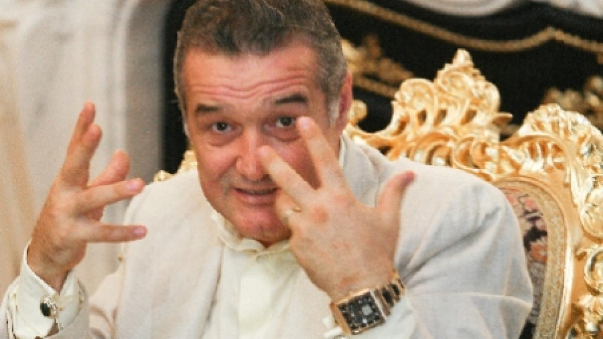 gigi becali vrea sa defriseze terenul din padurea baneasa pentru a construi un hotel o baza