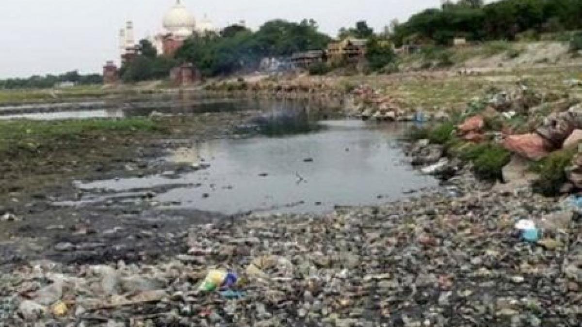 lacul stefanesti din capitala a devenit tomberonul cartierelor luxoase din zona