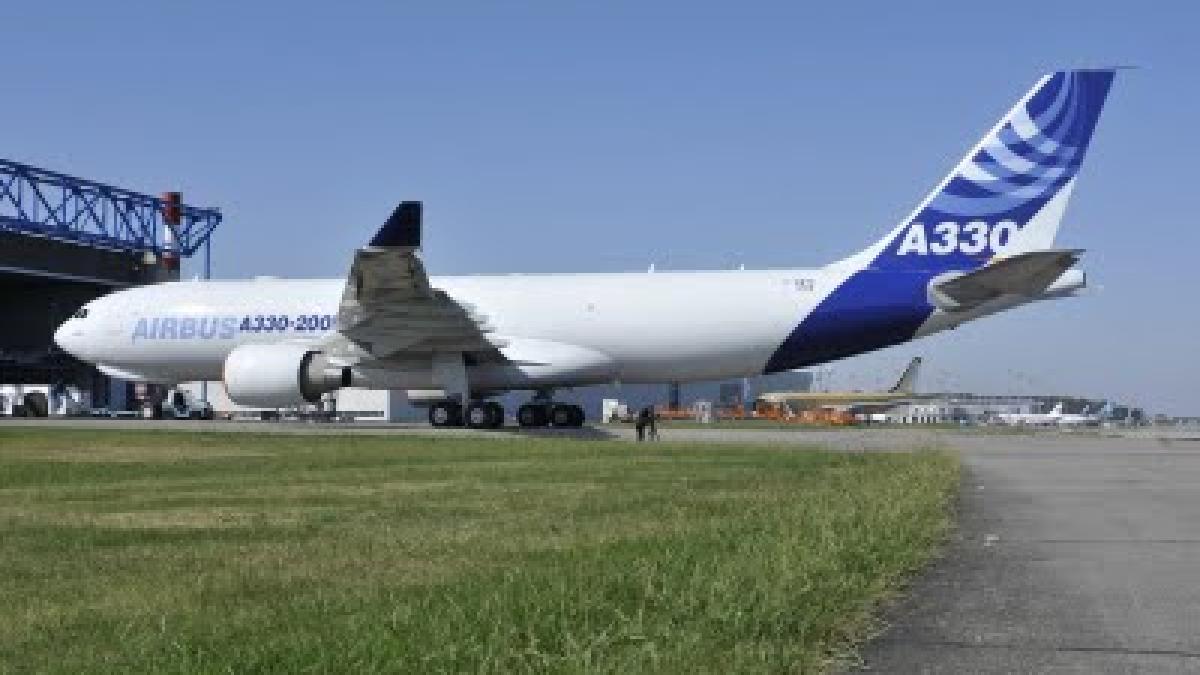 un soricel a oprit un avion sa decoleze de pe un aeroport din suedia