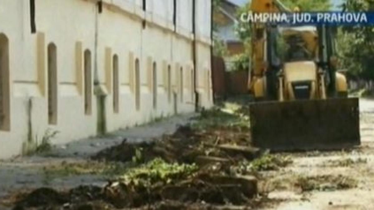 campina copaci taiati pentru a face loc unei parcari