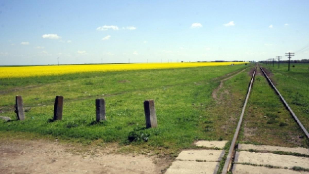 zeci de soferi isi pun viata in pericol ignorand semnalele de la trecerea la nivel cu calea ferata