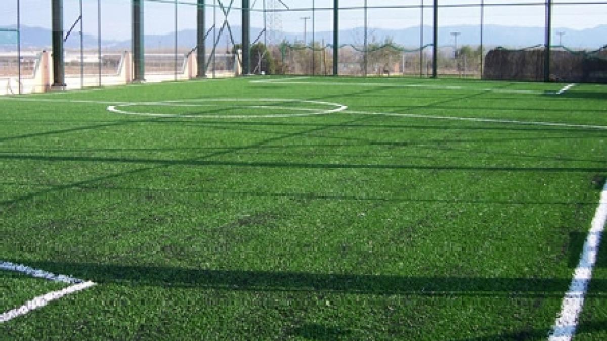 mehedinti primarul unei comune a investit 220 000 lei pentru un teren de sport si sute de puieti