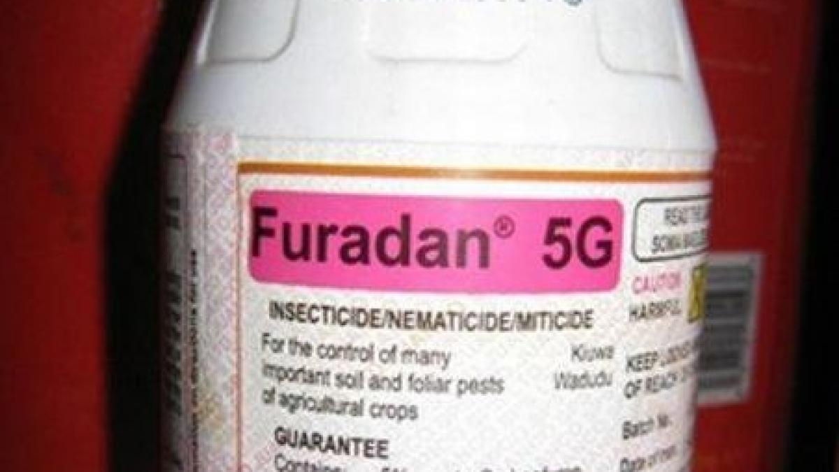 a incercat sa se sinucida cu furadan pentru ca nu mai avea bani sa isi intretina familia