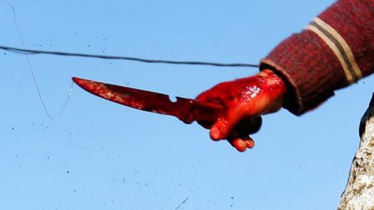 gorj un barbat si a injunghiat mortal sotia convins ca a omorat pisica