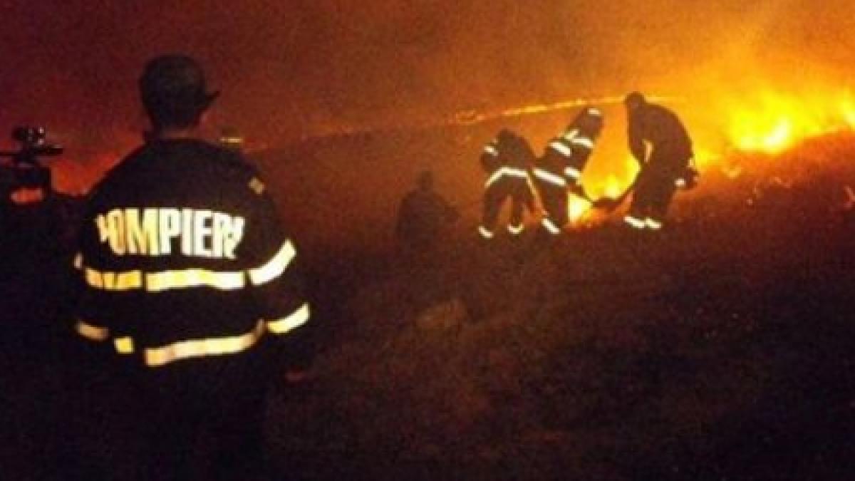 incendiul din delta ar fi fost intretinut de maini criminale