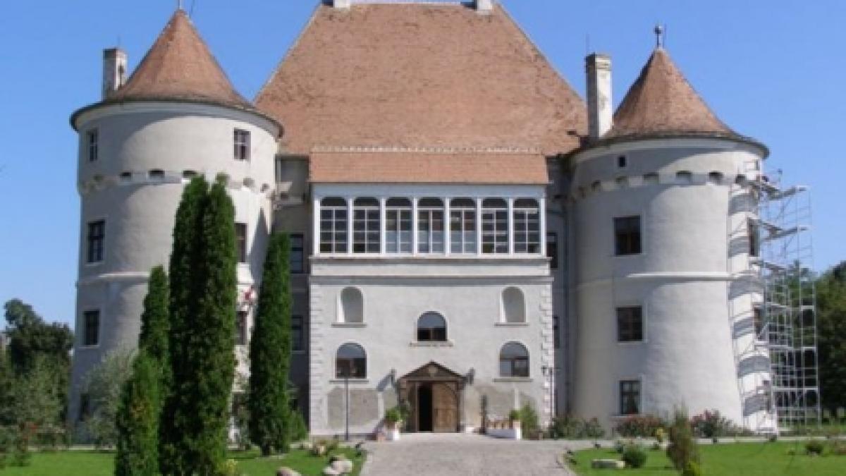 un castel din salaj transformat in adapost pentru cai