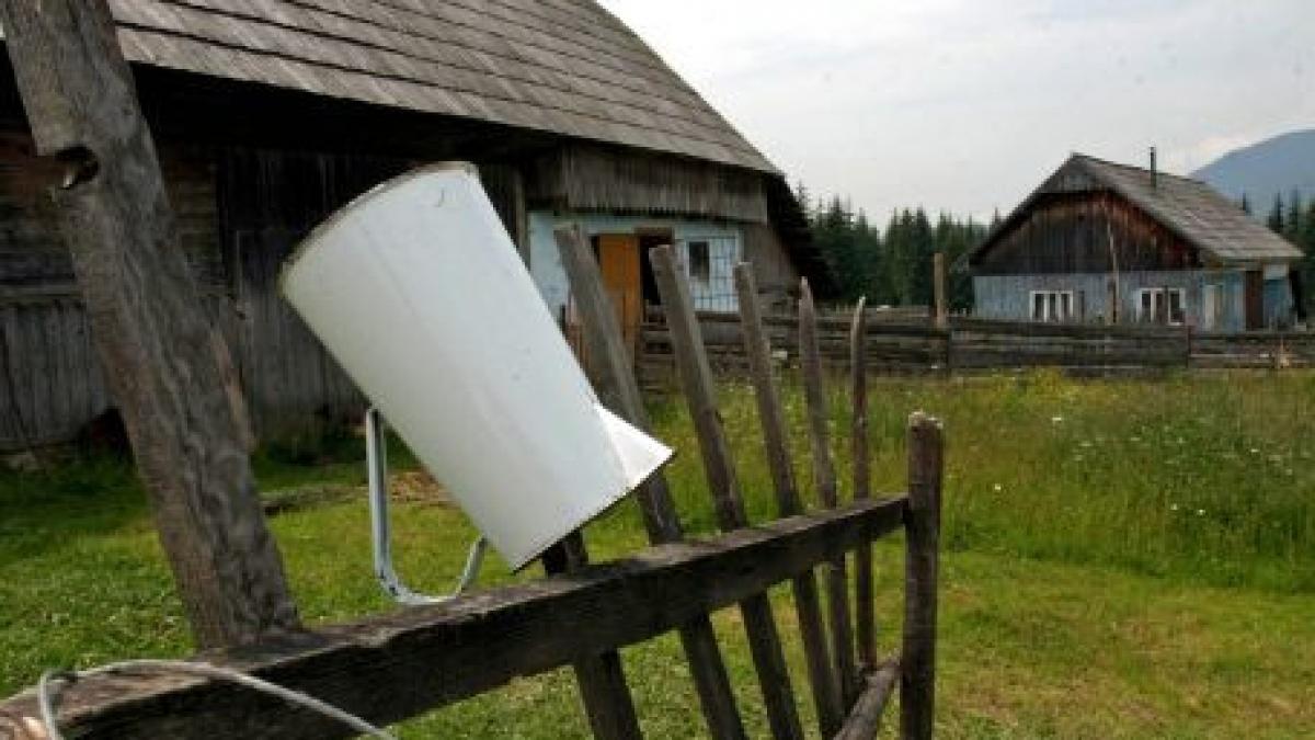 vaslui un barbat de 63 de ani a lasat insarcinata o fata de 13 ani