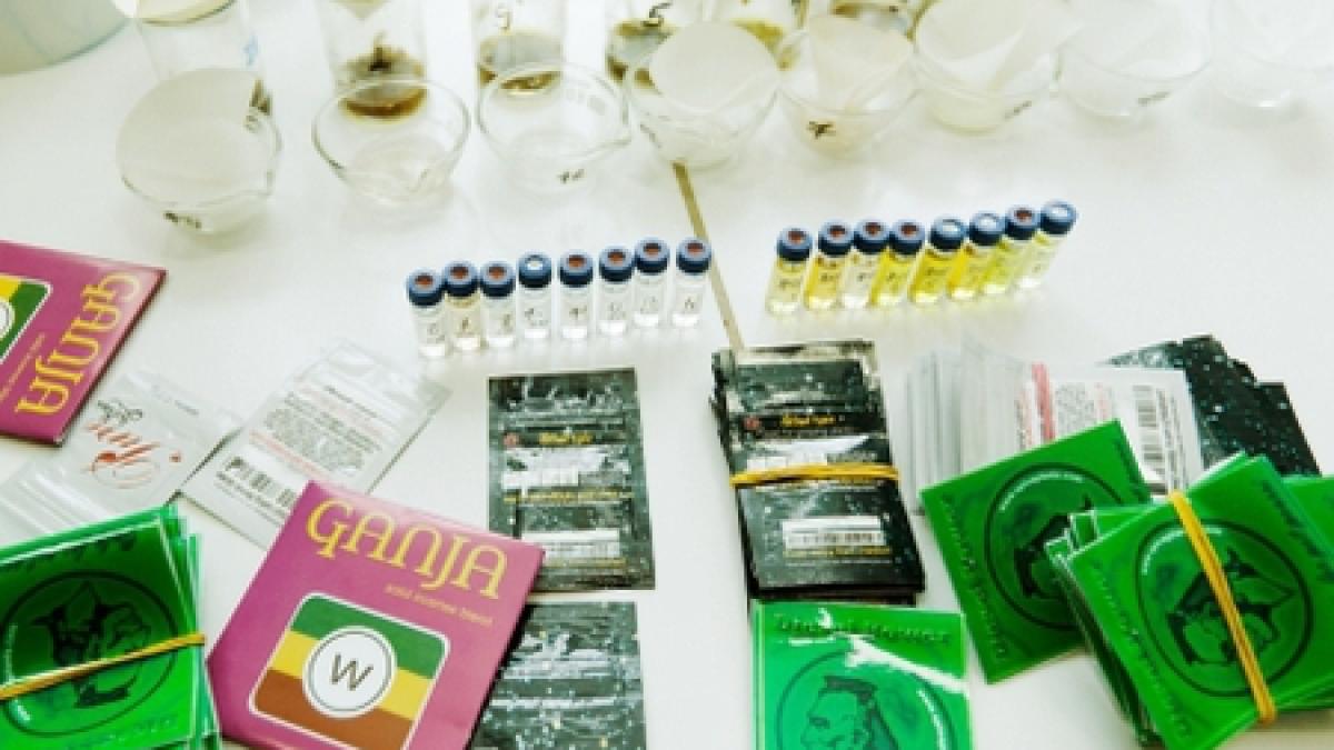 bacauanii comercializeaza etnobotanice in pet shop uri si florarii