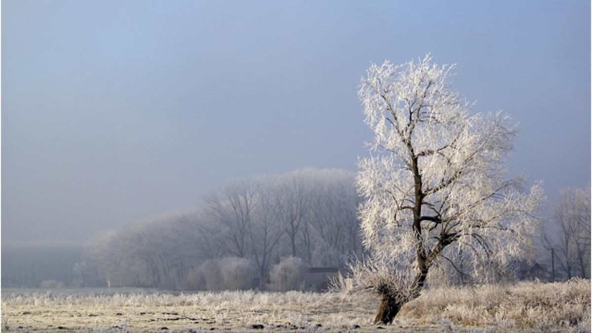harghita a cazut prima bruma iar temperatura in zori a fost de un singur grad celsius