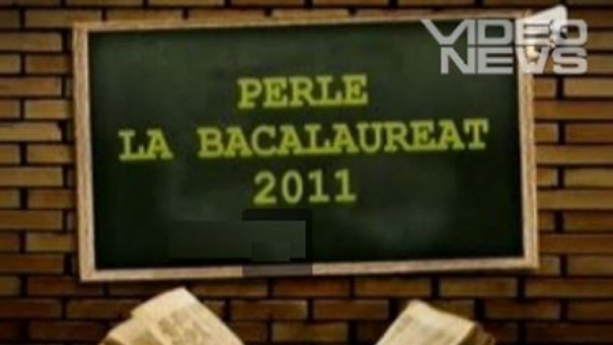 perle bac 2011 sesiunea de toamna o dinioara doua diniori