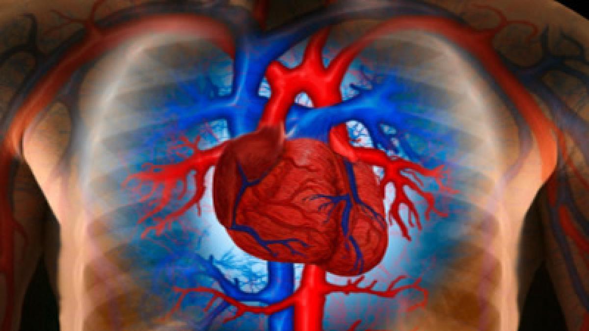 afla ce trebuie sa faci pentru o mai buna sanatate a inimii