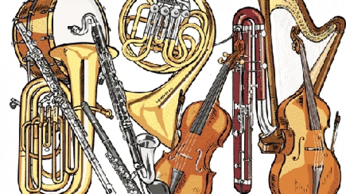 aproape doua milioane de euro din bani europeni cheltuiti pe instrumente muzicale