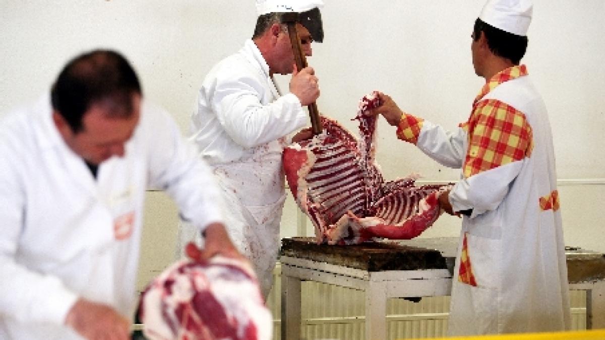 carne de cal in loc de carne de vita vanduta in macelariile din piata obor