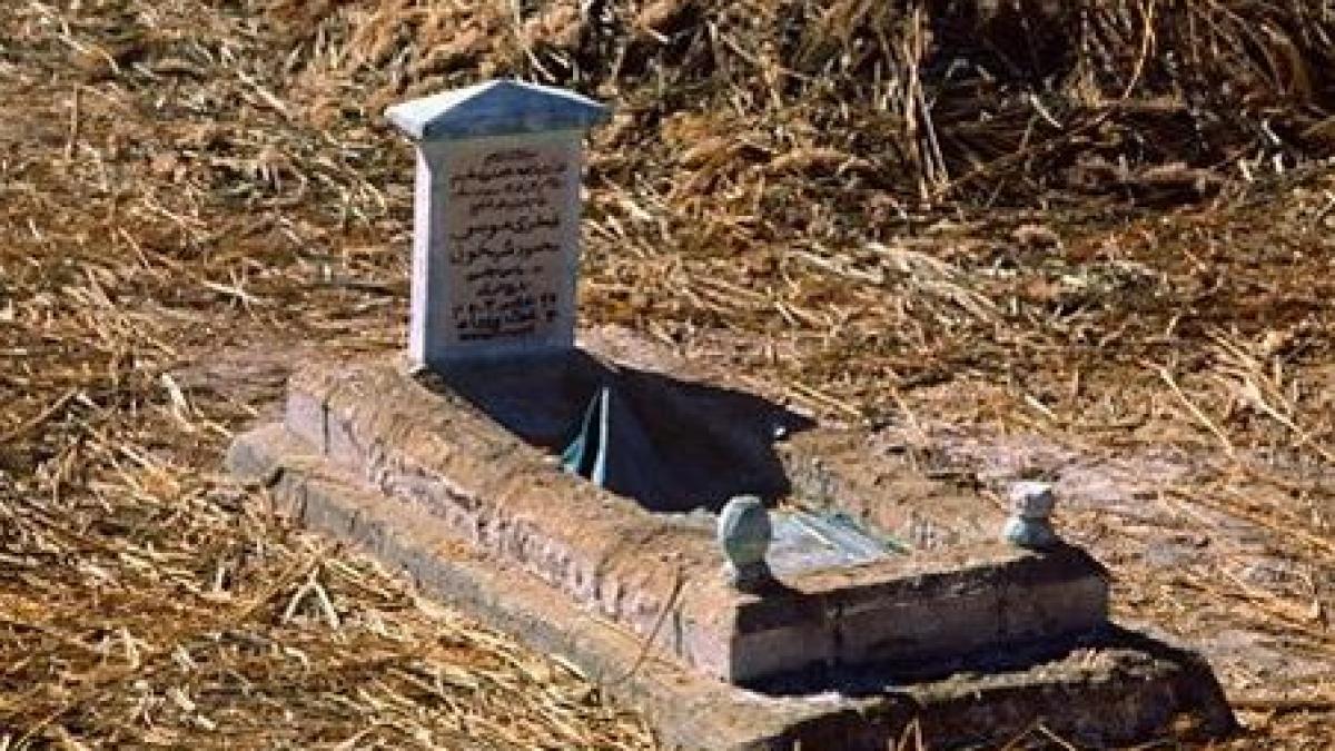 fiscul vinde lucruri traznite printre ele o jumatate de loc de veci