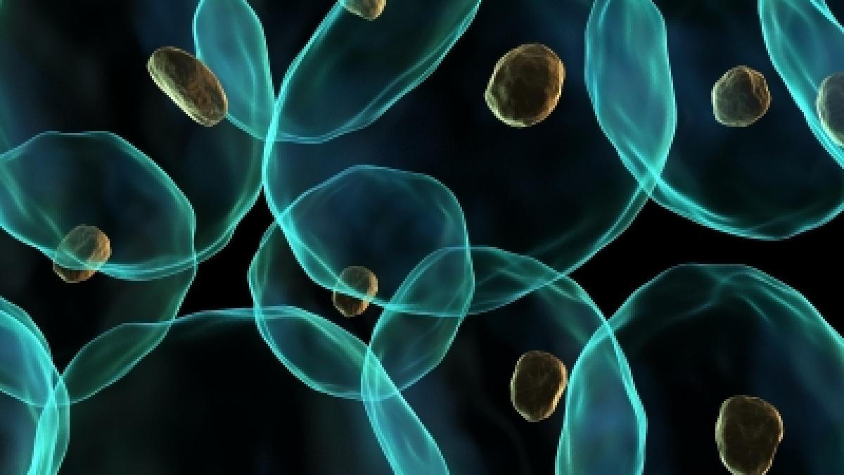 inovatie medicala cercetatorii au conceput un virus care ar putea trata cancerul