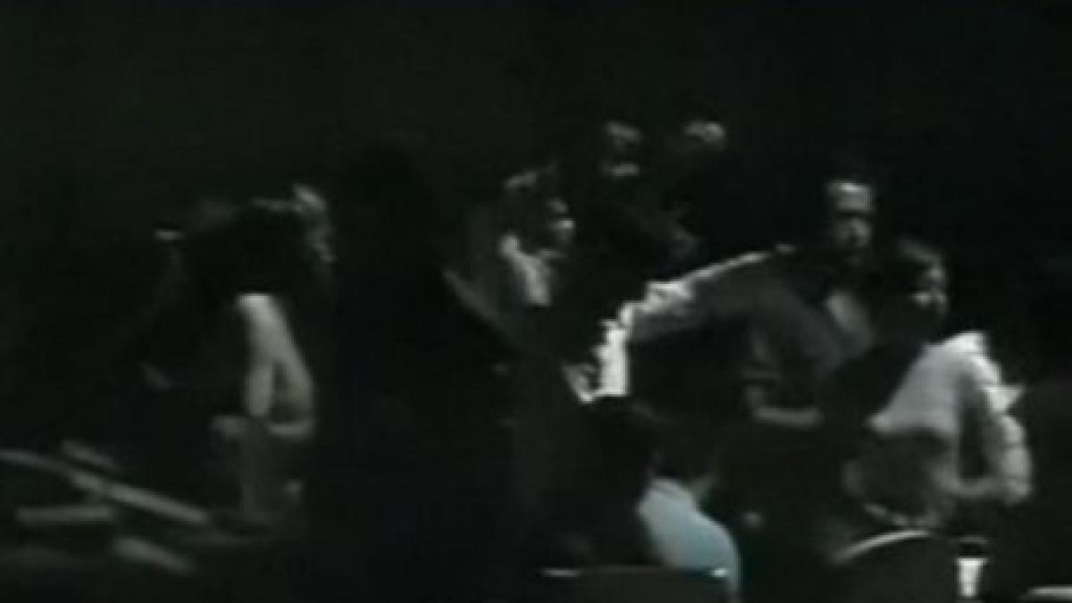 petrecere pdl la malul marii ne mandrim cu femeile frumoase din partid