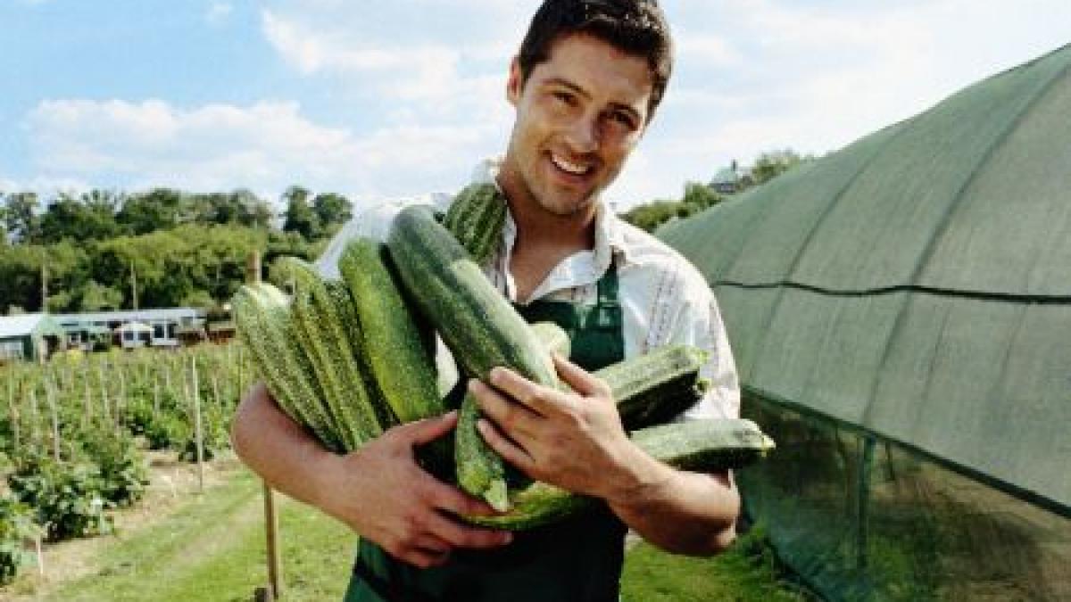 romanii favoritii angajatorilor britanici lucreaza bine si pe putini bani