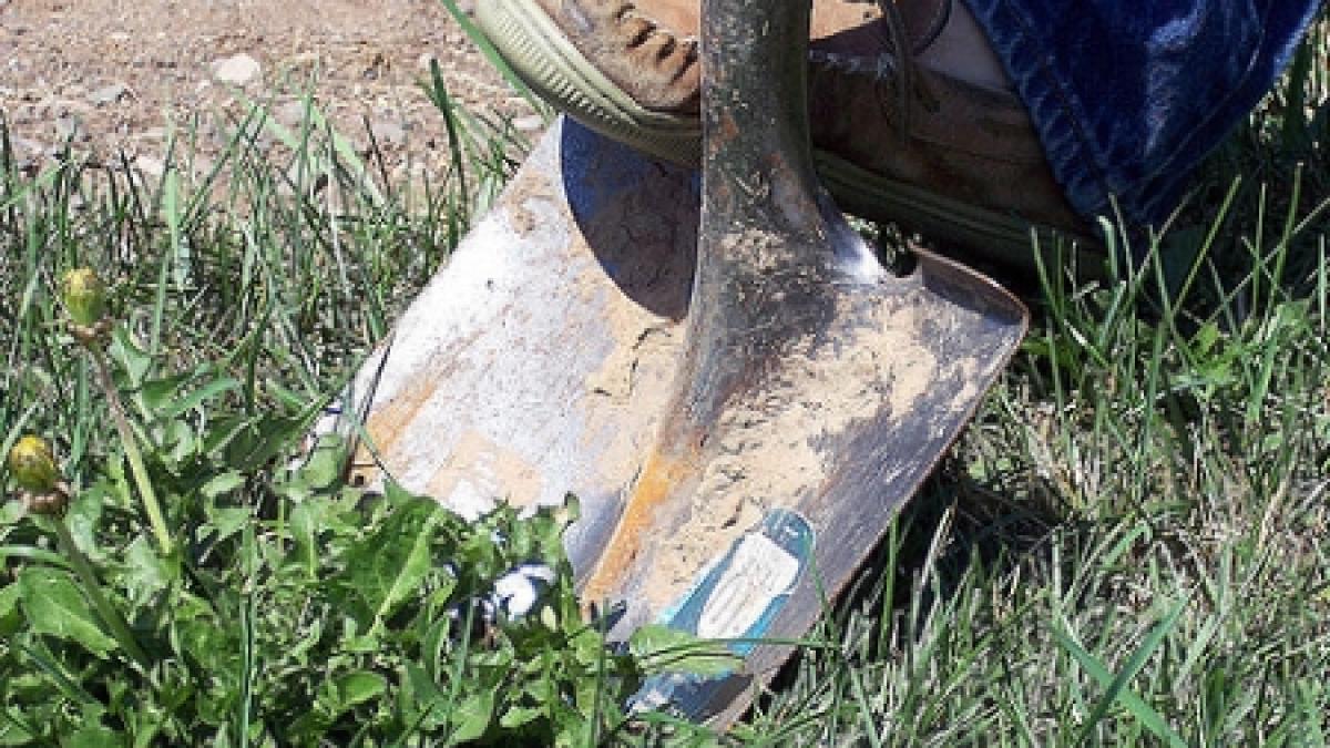 macabru un batran gasit ingropat in propria gospodarie fiica lui complice la crima