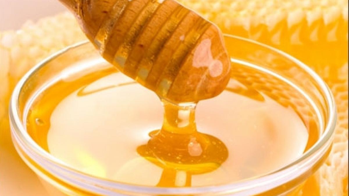 curtea europeana de justitie interzice comercializarea mierii de albine din porumb modificat genetic