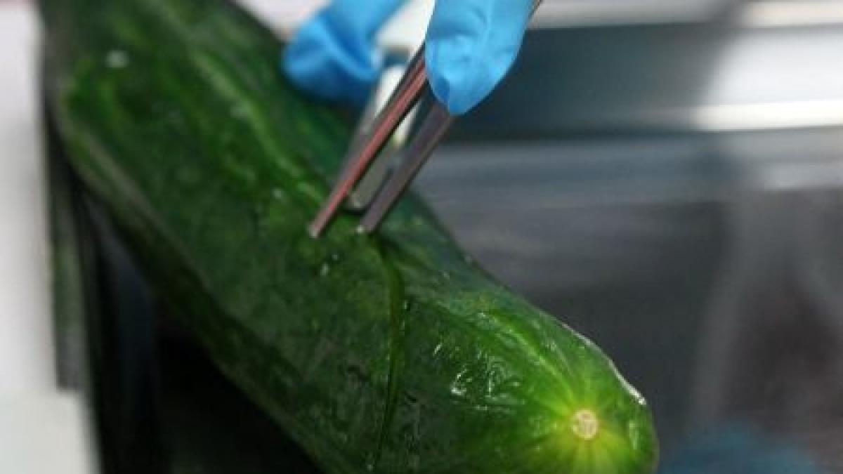 guvernul despagubiri de 3 7 milioane euro pentru producatorii de legume afectati de criza e coli