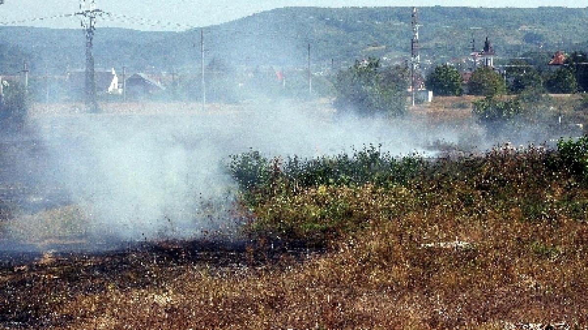 incendiul din complexul razelm sinoie a fost stins dupa 7 ore