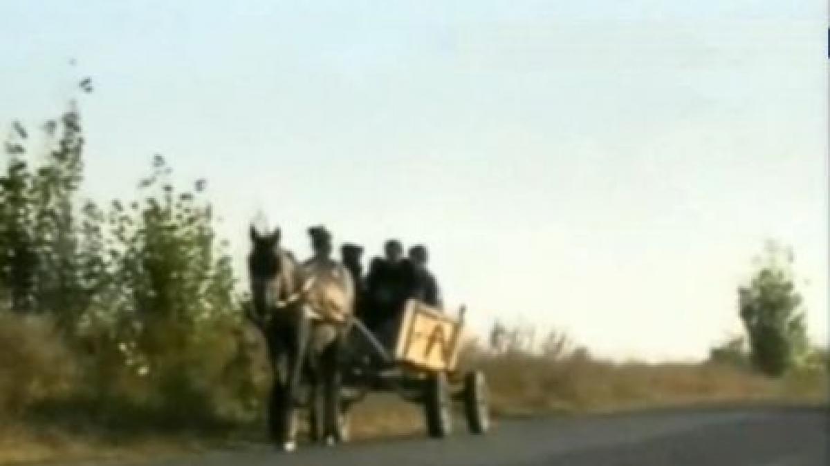 copiii unei scoli din mehedinti merg la scoala cu caruta