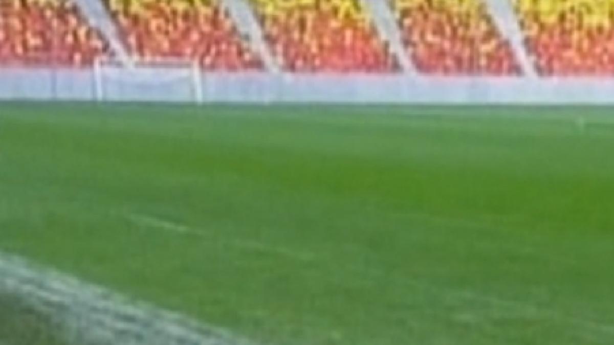 gazonul de pe arena nationala va fi schimbat incepand de astazi