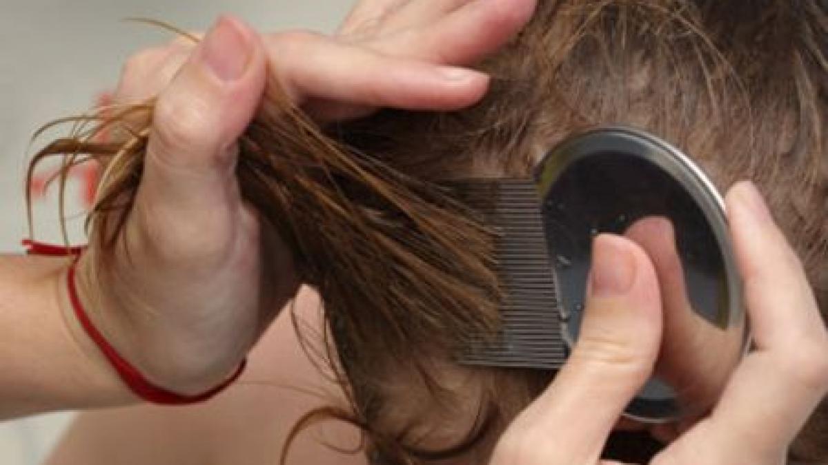 sibiu trei copii cu scarlatina si mai multi cu paduchi la o scoala si o gradinita fara autorizatii