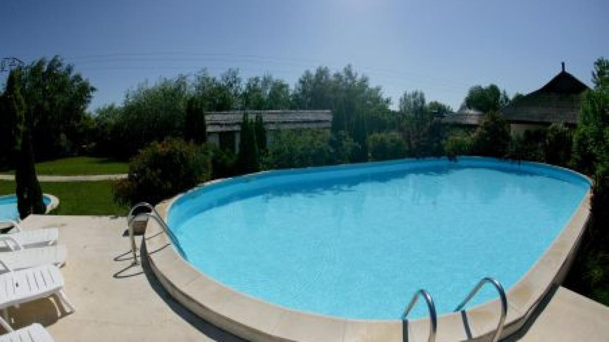 romanul devenit celebru pentru patul cu bani recidiveaza vezi ce dilema are