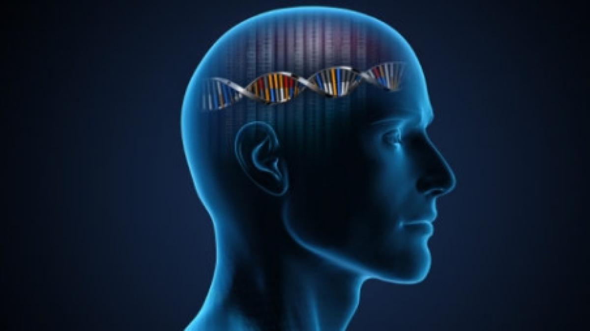 gena majora a inteligentei mostenita de la omul de neanderthal