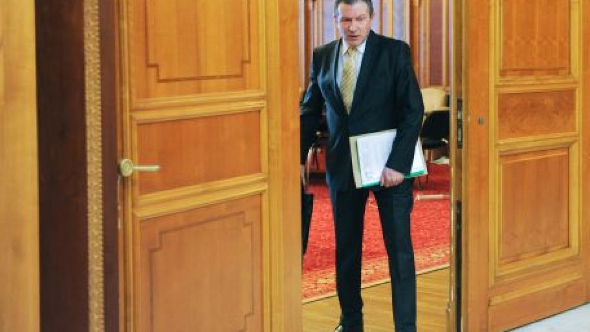 radu berceanu lazaroiu era un fel de tata omida