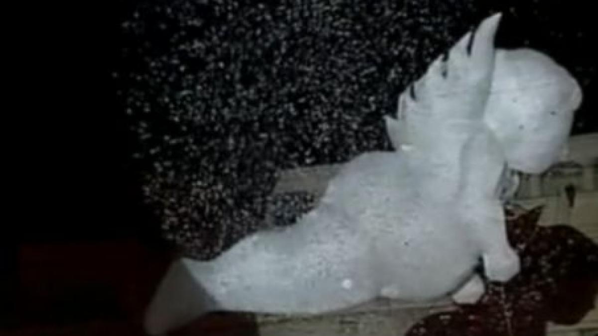 ingeri deasupra pietei constitutiei din bucuresti in ultima zi de sarbatoare a capitalei