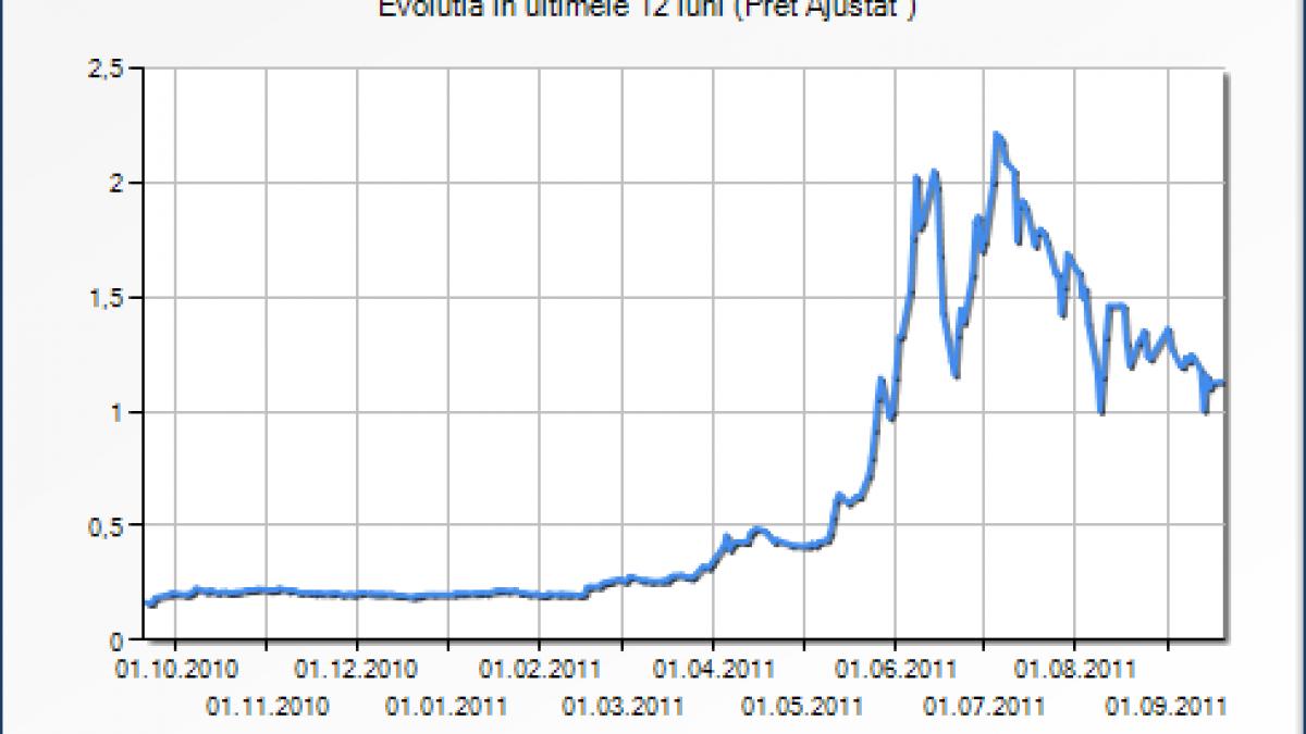 fondul britanic carlson ventures sunt semne ca procesul de privatizare al oltchim va fi intarziat